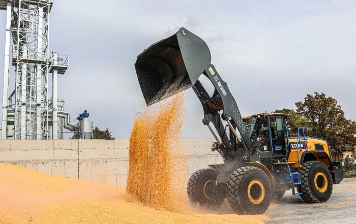 bc613187634a49efa4847150198f10b5