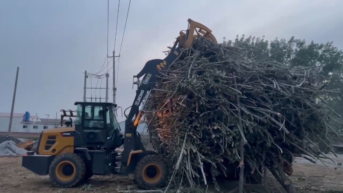 b11fe3de14024a48858ef590262e63f0