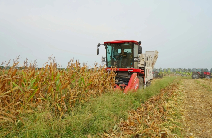 335aa30afcba444ba79e62afec61fdb2