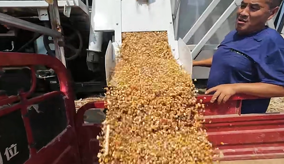 NG电子游戏·(中国区)官方网站